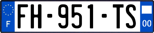 FH-951-TS