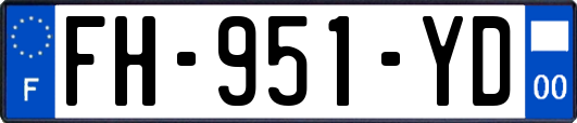 FH-951-YD