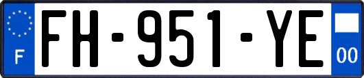 FH-951-YE