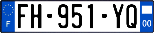 FH-951-YQ