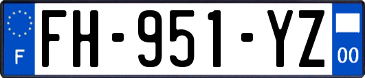 FH-951-YZ