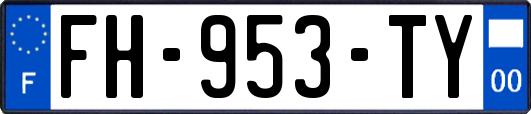FH-953-TY
