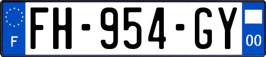 FH-954-GY