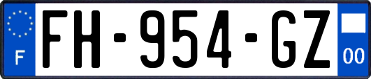 FH-954-GZ
