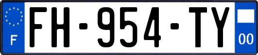 FH-954-TY