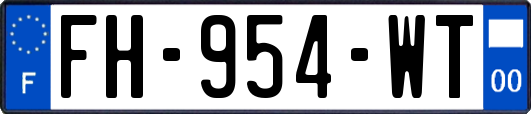 FH-954-WT