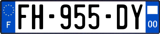 FH-955-DY