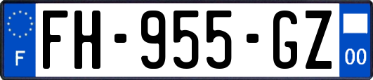 FH-955-GZ
