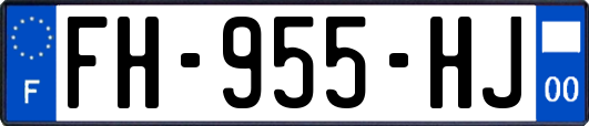 FH-955-HJ