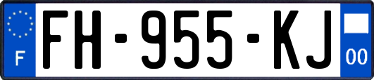 FH-955-KJ