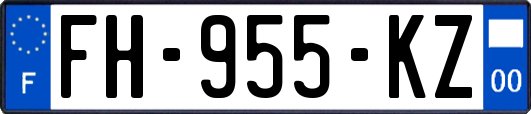 FH-955-KZ