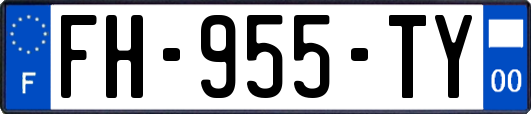 FH-955-TY