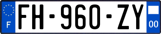 FH-960-ZY