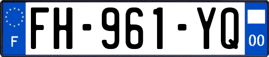 FH-961-YQ