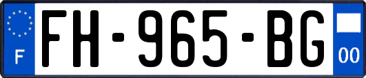 FH-965-BG