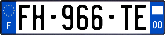 FH-966-TE