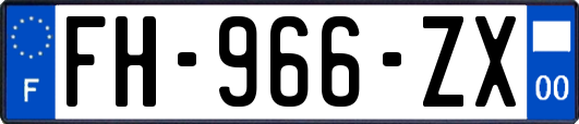 FH-966-ZX