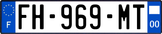 FH-969-MT