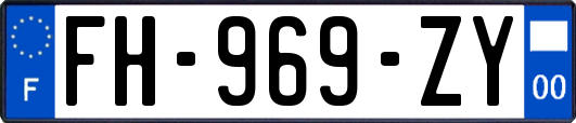 FH-969-ZY