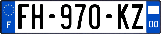 FH-970-KZ