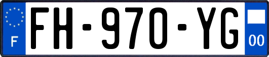 FH-970-YG