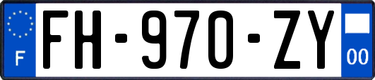 FH-970-ZY