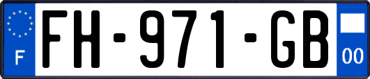 FH-971-GB