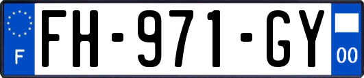 FH-971-GY