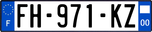 FH-971-KZ