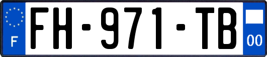 FH-971-TB