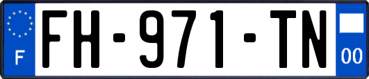 FH-971-TN