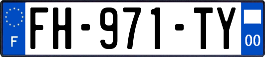 FH-971-TY