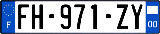 FH-971-ZY