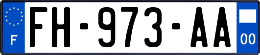 FH-973-AA