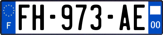 FH-973-AE