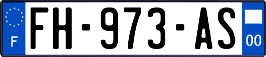 FH-973-AS