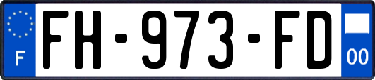 FH-973-FD