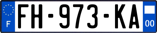 FH-973-KA