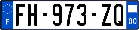 FH-973-ZQ