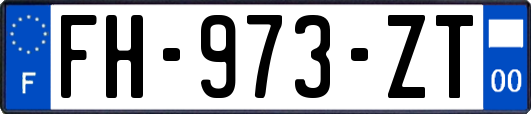 FH-973-ZT