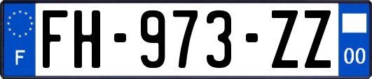 FH-973-ZZ