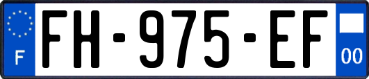 FH-975-EF