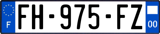 FH-975-FZ