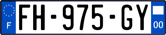 FH-975-GY