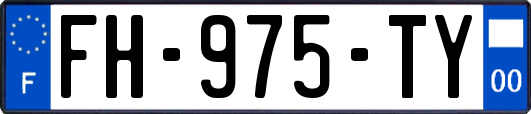 FH-975-TY