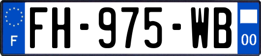 FH-975-WB