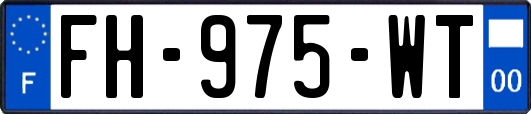 FH-975-WT