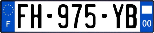 FH-975-YB