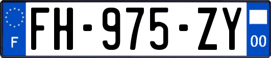 FH-975-ZY