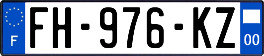 FH-976-KZ